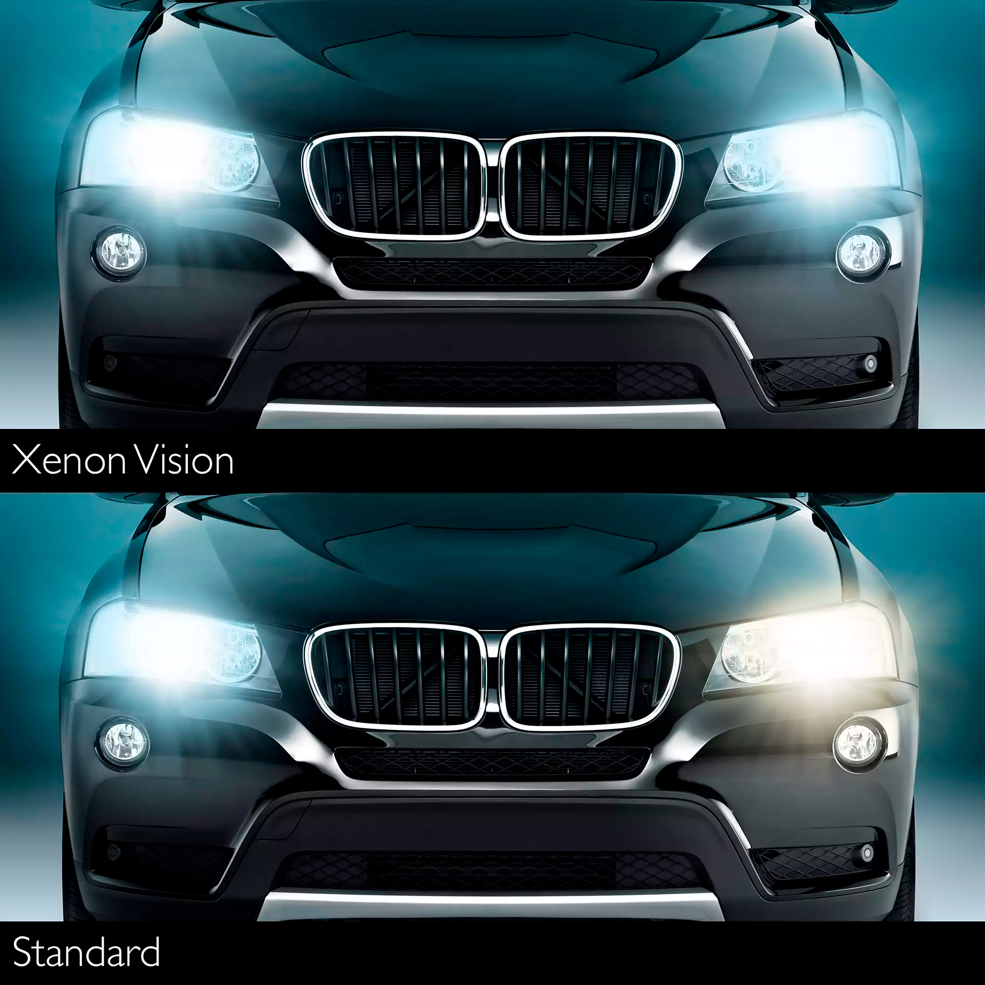 Ксенонова лампа Philips Xenon Vision D3S Vision 35W 42403VIS1